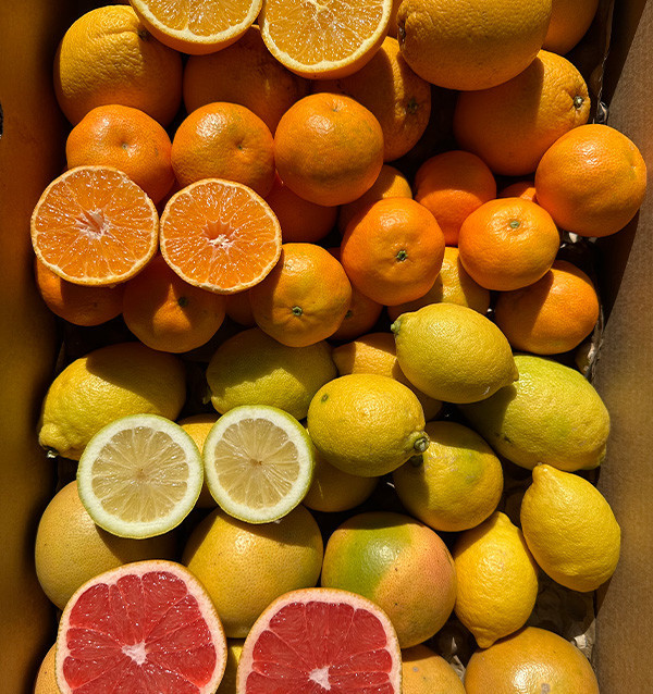 Citrus Black Friday Pack – 8 kg of oranges and mandarins on offer online