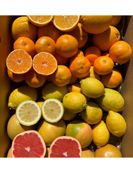 Citrus Black Friday Pack – 8 kg of oranges and mandarins on offer online