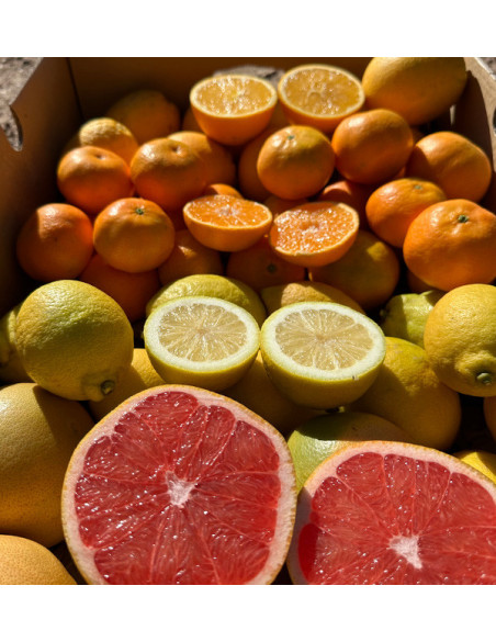 Citrus Black Friday Pack – 8 kg of oranges and mandarins on offer online