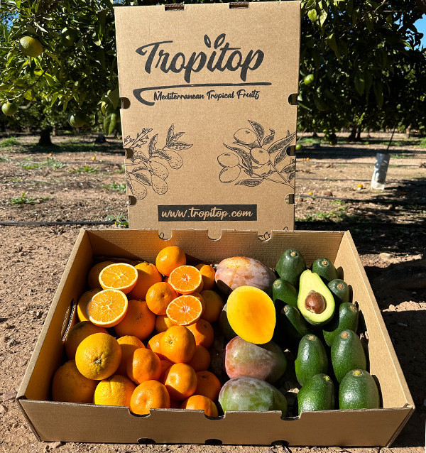 Black Friday Supermix Pack – Buy 8 kg of tropical fruit and citrus on offer