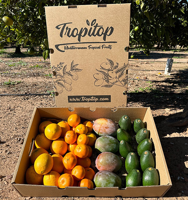 Black Friday Supermix Pack – Buy 8 kg of tropical fruit and citrus on offer