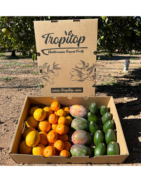 Black Friday Supermix Pack – Buy 8 kg of tropical fruit and citrus on offer