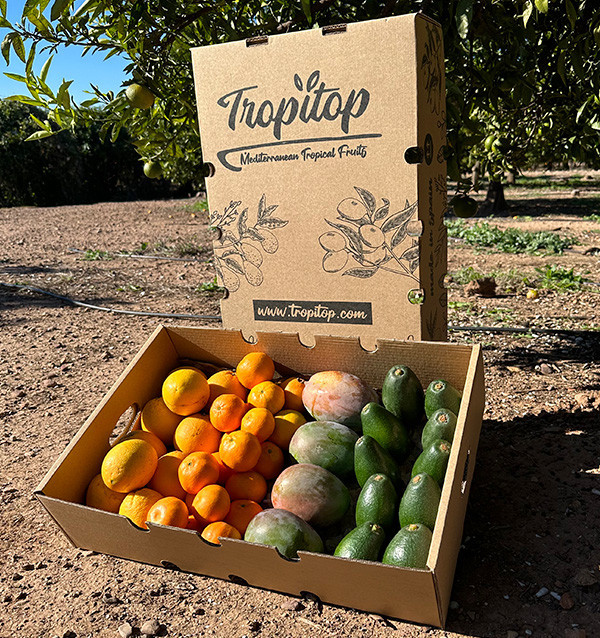 Black Friday Supermix Pack – Buy 8 kg of tropical fruit and citrus on offer