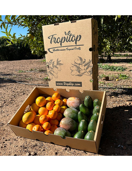 Black Friday Supermix Pack – Buy 8 kg of tropical fruit and citrus on offer