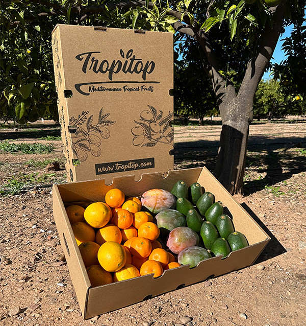 Black Friday Supermix Pack – Buy 8 kg of tropical fruit and citrus on offer