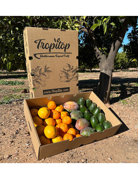 Black Friday Supermix Pack – Buy 8 kg of tropical fruit and citrus on offer