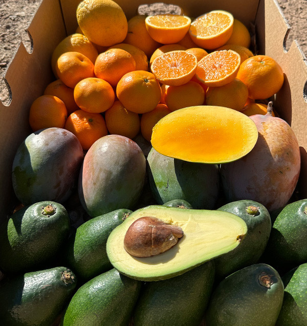 Black Friday Supermix Pack – Buy 8 kg of tropical fruit and citrus on offer 2