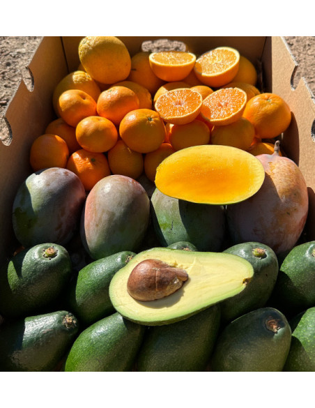 Black Friday Supermix Pack – Buy 8 kg of tropical fruit and citrus on offer