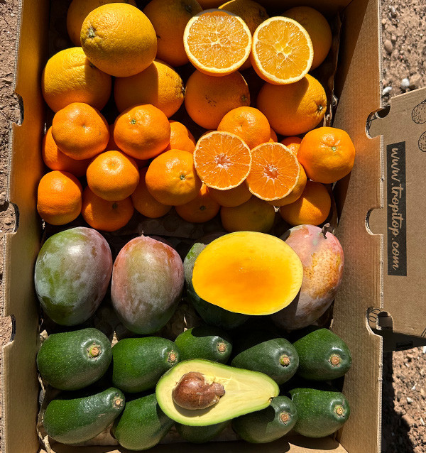Black Friday Supermix Pack – Buy 8 kg of tropical fruit and citrus on offer