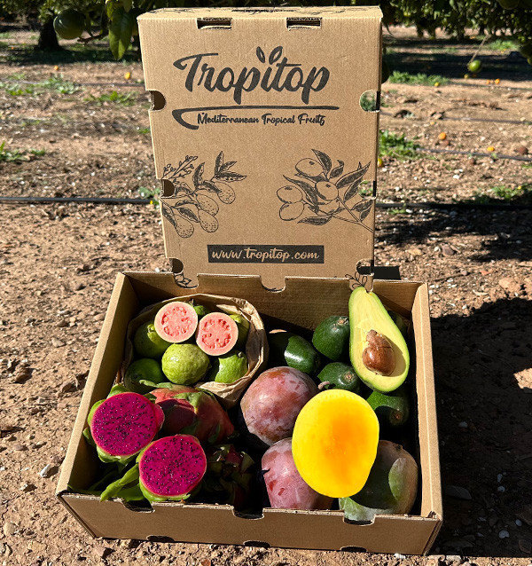 Tropical BIO Black Friday Pack – 4 kg of organic exotic fruit on offer