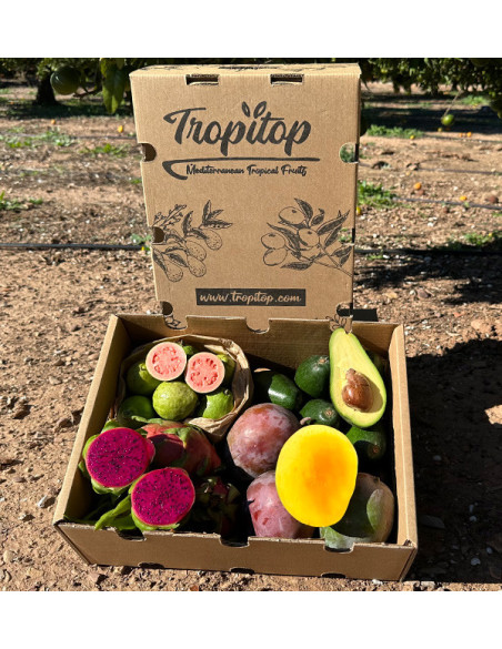 Tropical BIO Black Friday Pack – 4 kg of organic exotic fruit on offer