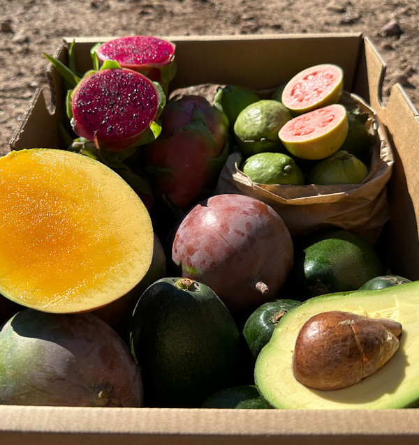 Tropical BIO Black Friday Pack – 4 kg of organic exotic fruit on offer