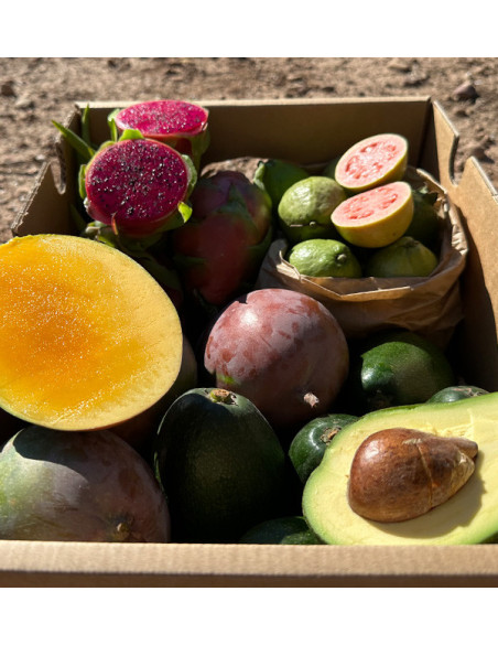 Tropical BIO Black Friday Pack – 4 kg of organic exotic fruit on offer