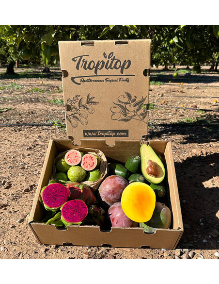 Tropical BIO Black Friday Pack – 4 kg of organic exotic fruit on offer