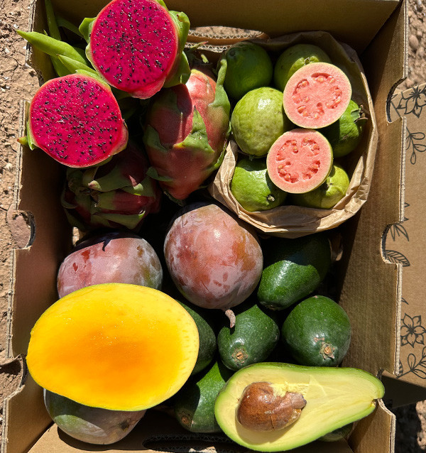 Tropical BIO Black Friday Pack – 4 kg of organic exotic fruit on offer