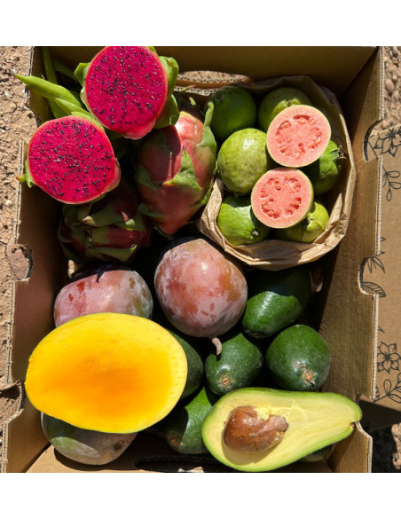 Tropical BIO Black Friday Pack – 4 kg of organic exotic fruit on offer