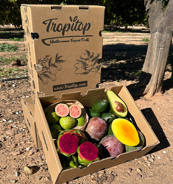 Tropical BIO Black Friday Pack – 4 kg of organic exotic fruit on offer