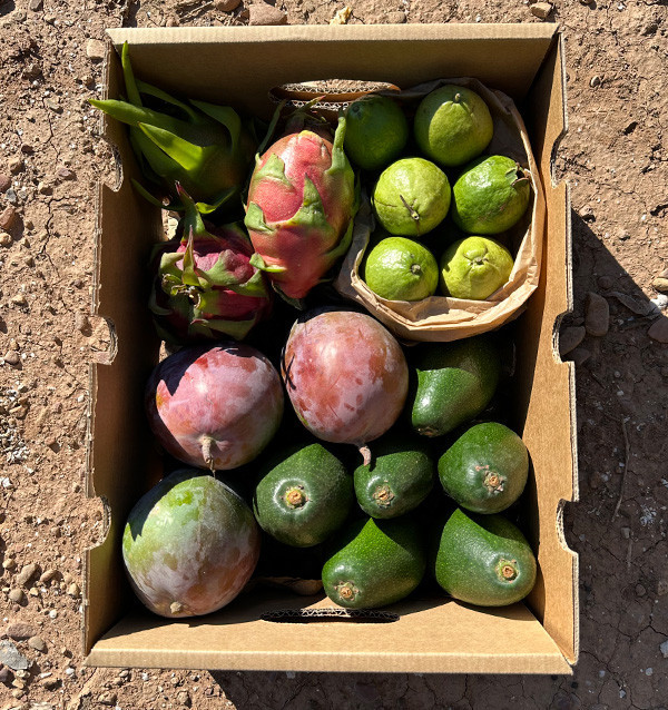 Tropical BIO Black Friday Pack – 4 kg of organic exotic fruit on offer