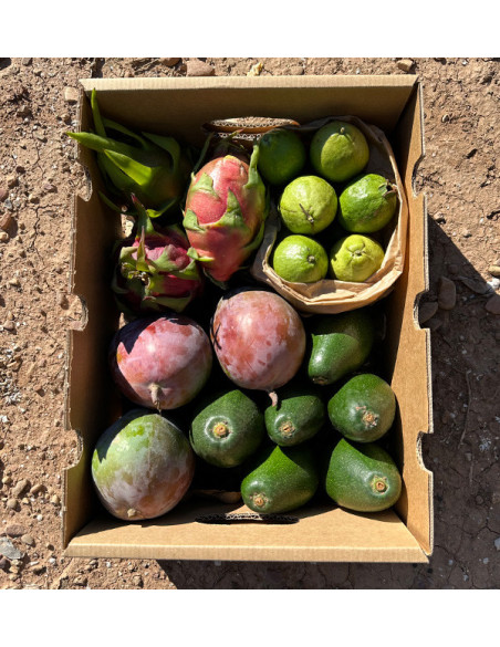 Tropical BIO Black Friday Pack – 4 kg of organic exotic fruit on offer