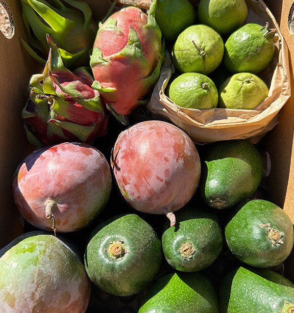 Tropical BIO Black Friday Pack – 4 kg of organic exotic fruit on offer