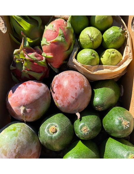 Tropical BIO Black Friday Pack – 4 kg of organic exotic fruit on offer