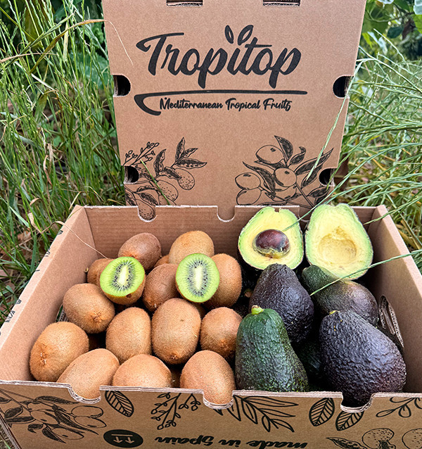 Kiwis und Hass-Avocados online bei Tropitop kaufen