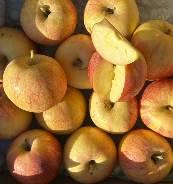 Buy Fuji Apples Online | Tropitop