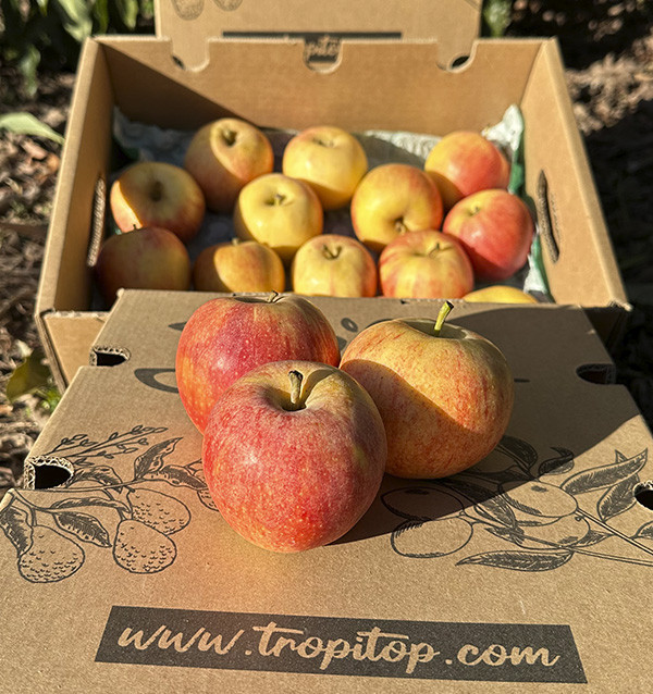 Comprar Manzanas Online en Tropitop
