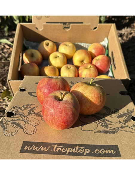 Fuji-Äpfel Online Kaufen | Tropitop