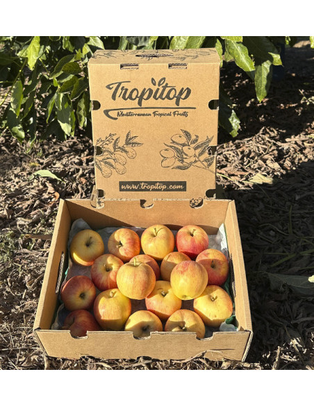 Fuji-Äpfel Online Kaufen | Tropitop