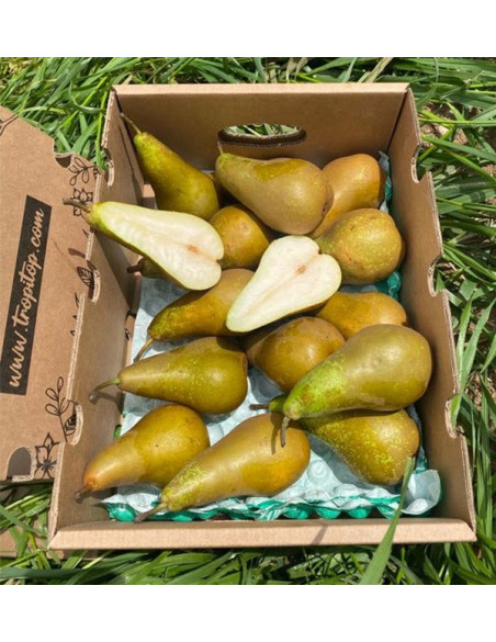 Buy Pears Online | Tropitop
