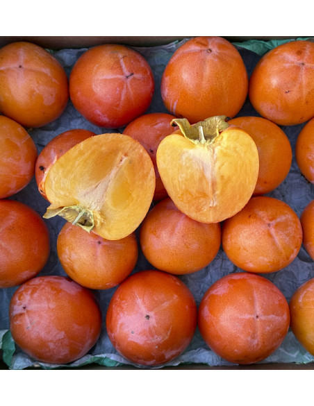 Buy Persimmons Online | Tropitop