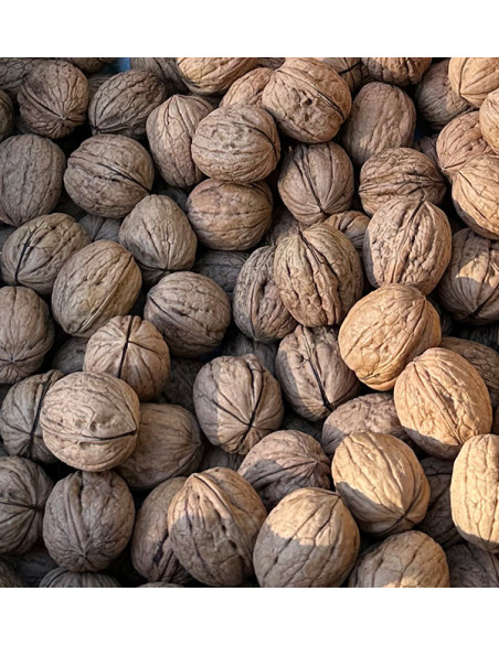 Buy Walnuts Online | Tropitop
