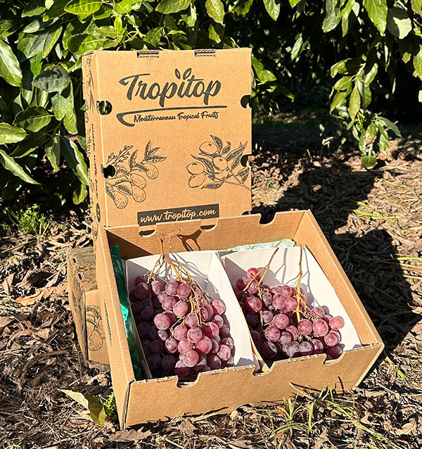 Comprare Uva Rossa Online su Tropitop | Fresca, Dolce e Diretta dal Campo