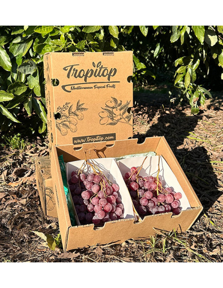 Comprare Uva Rossa Online su Tropitop | Fresca, Dolce e Diretta dal Campo