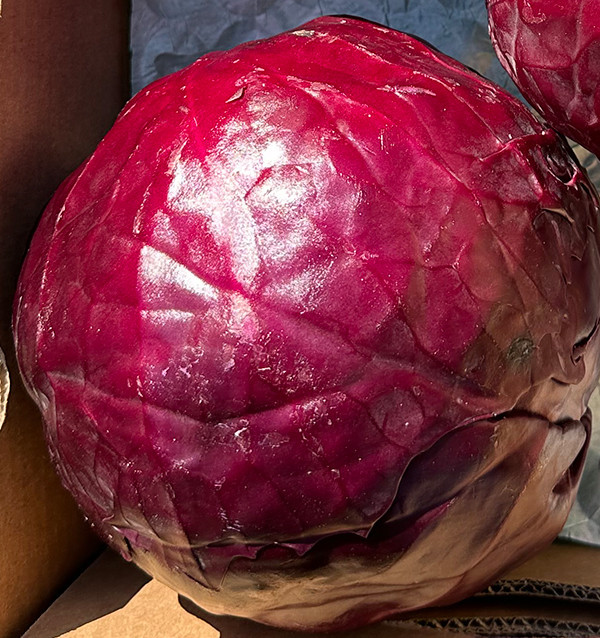 Acquistare Cavolo Rosso Online | Diretto dall’Agricoltore – Tropitop