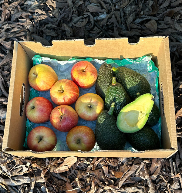 Buy Hass Avocados and Fuji Apples Online | Tropitop