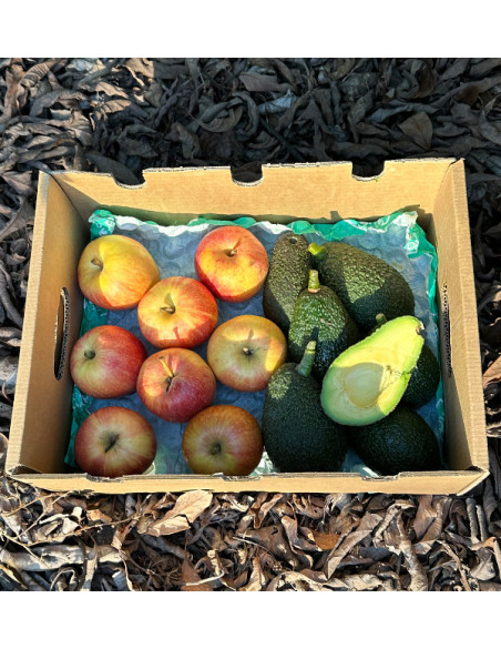 Comprare Avocado Hass e Mele Fuji Online | Tropitop