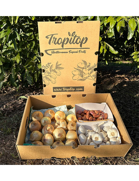 Cipolle, Aglio e Scalogno | Pack Basi di Cucina – Tropitop