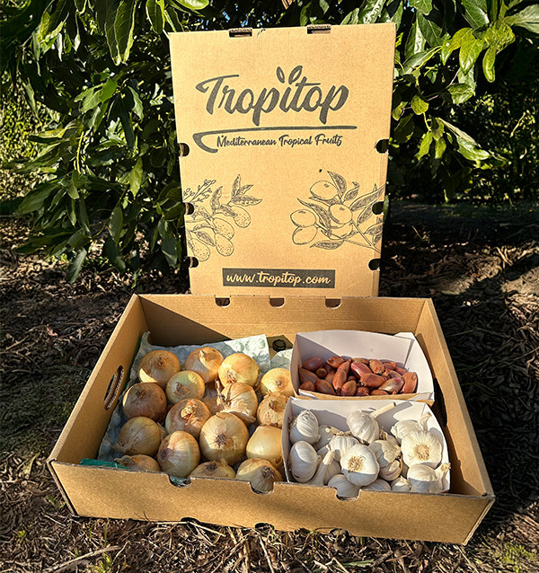 Zwiebeln, Knoblauch und Schalotten | Küchenbasics Pack – Tropitop