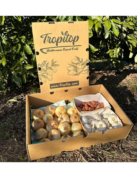 Pack Cebolas, Alhos e Chalotas | Básicos de Cozinha – Tropitop