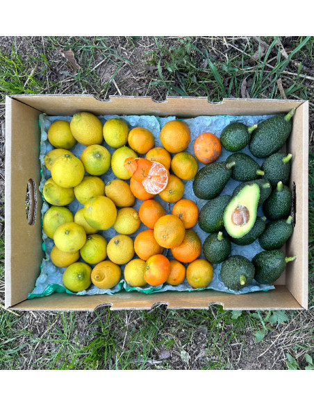 Mix de mandarinas, aguacates y limones - Venta directa del agricultor