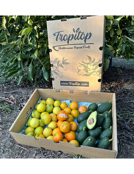 Mix de tangerinas, abacates e limões - Venda direta do agricultor
