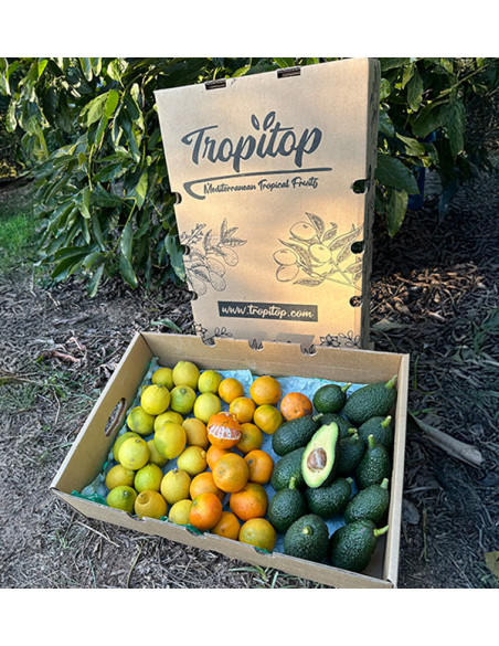 Mix de tangerinas, abacates e limões - Venda direta do agricultor