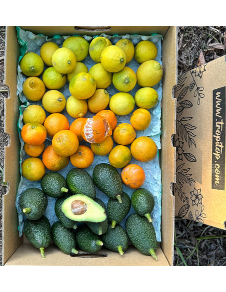Mix de tangerinas, abacates e limões - Venda direta do agricultor