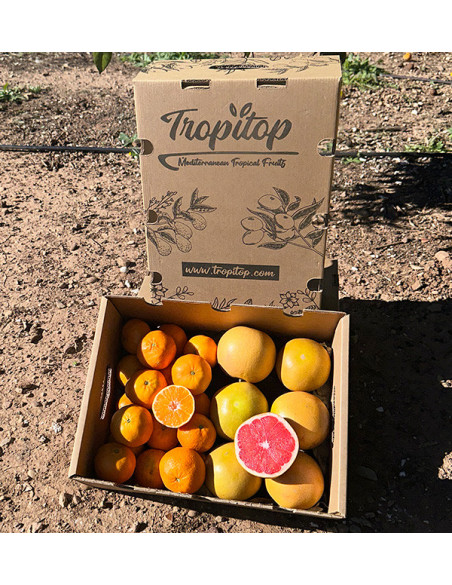 Mandarinen und Grapefruit direkt vom Feld zu Ihnen nach Hause