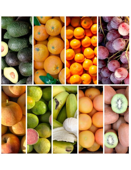 Saisonale Obstbox online bei Tropitop kaufen