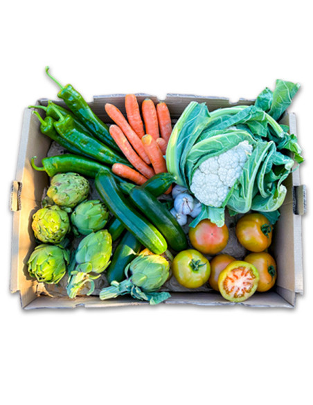Comprar Caja de Verduras de Temporada Online en Tropitop