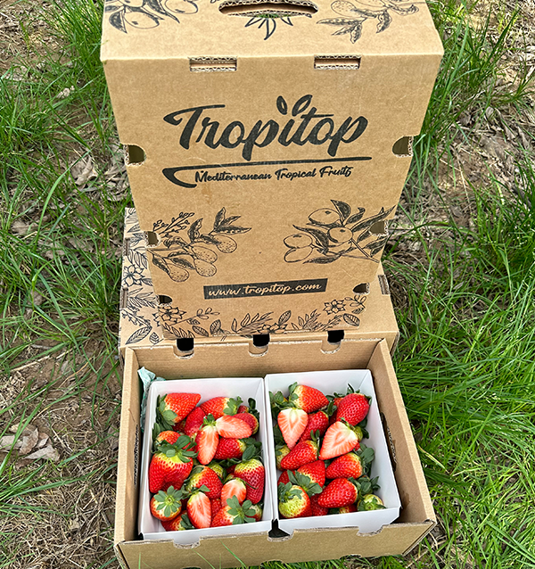 Acheter des Fraises en Ligne sur Tropitop | Directement du champ à votre table
