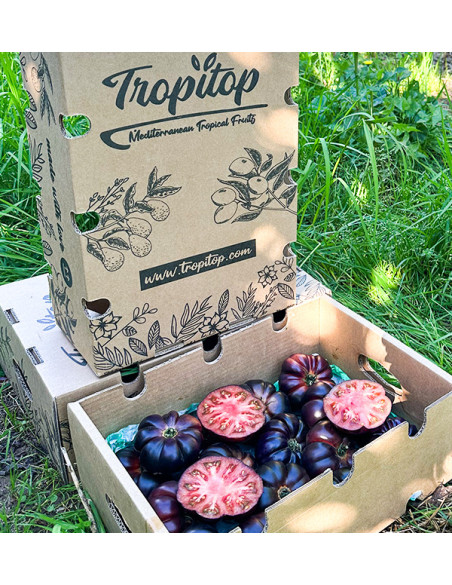 Acquista Pomodoro Blu Online su Tropitop